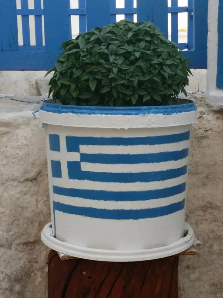 what to do in paros greece, flower pot painted with greek flag