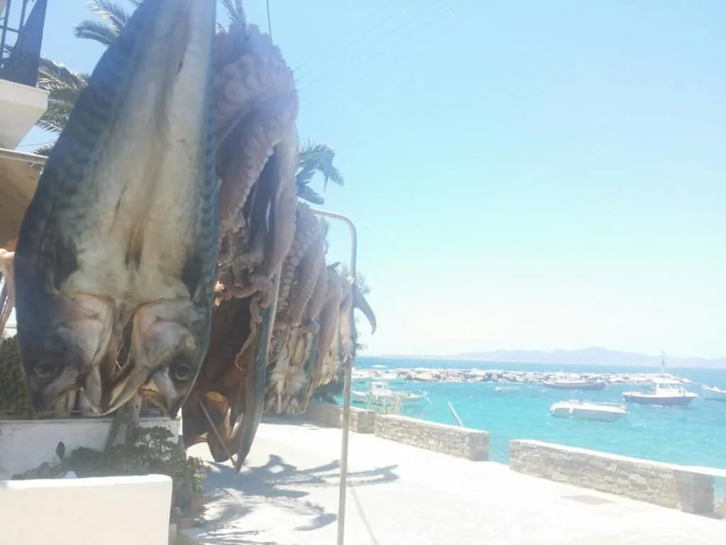interesting paros attractions, fish and octopus handing in the sun