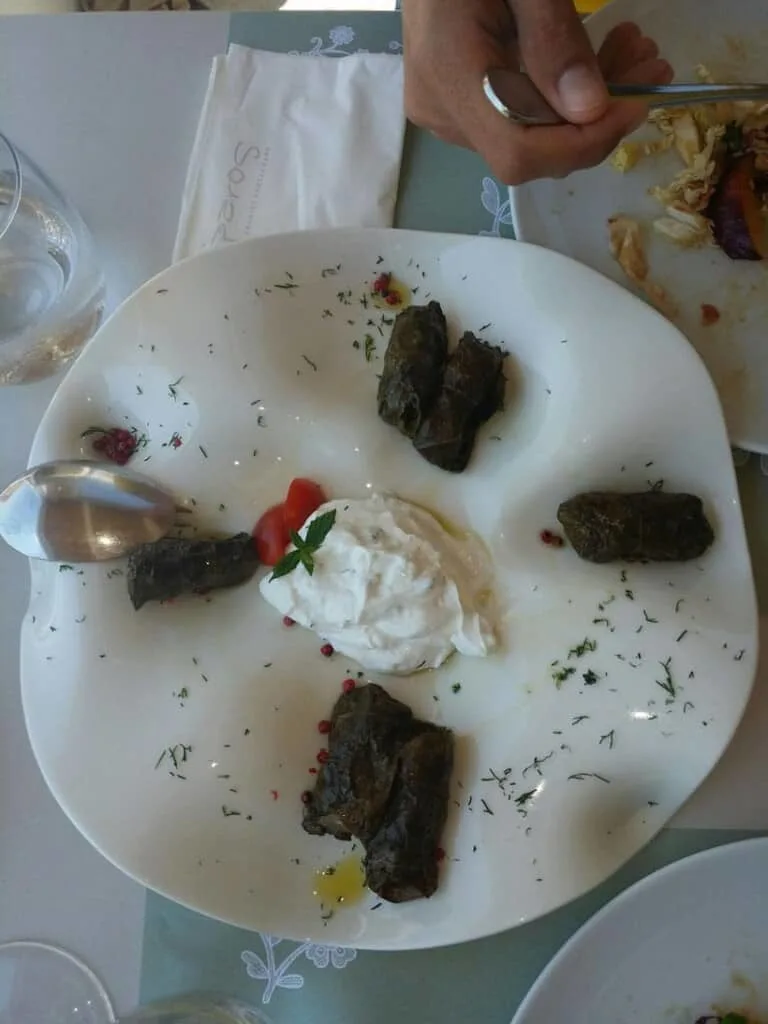 best food in paros, dish of stuffed vine leaves and tzatziki from Siparos seaside restuarant