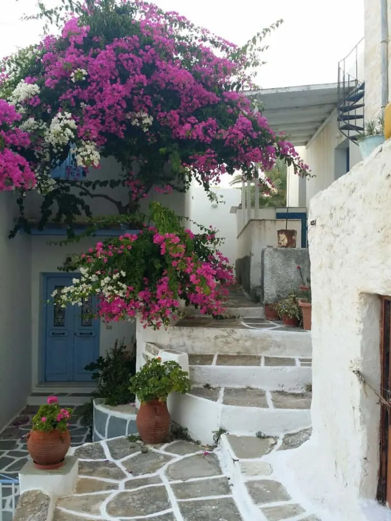 best things to do in paros greece, flowers on the steps of lefkes village on paros island