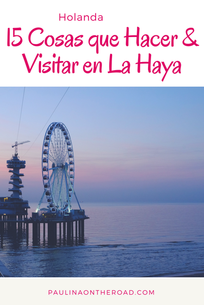 haya travel opiniones