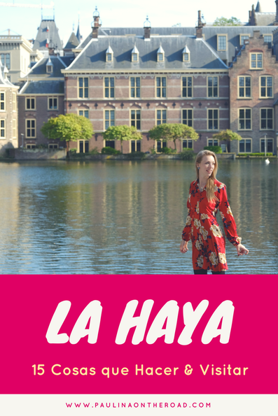 haya travel opiniones