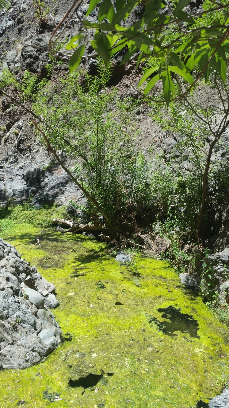 tenerife, hiking, barranco, infierno, senderismo, islas canarias, canary islands, canarias, teneriffa, wanderung, cliffs, beach, hiking, outdoor sport, adeje, waterfall, guanches, aborigine, tourism, turismo