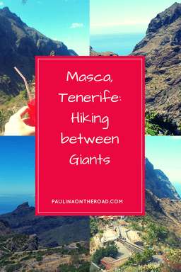 tenerife masca hiking 4 8 - Masca Valley, Tenerife: Hiking between Giants