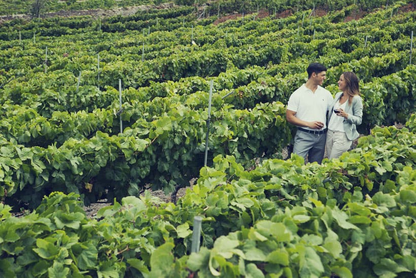 things to do tenerife north, couple drinking wine and walking through a vineyard