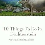 Top Thing to do in Liechtenstein. What to visit when traveling to Liechtenstein? Best hiking trails, cycling, what to see, main attractions with map. #liechtenstein #europetravel #apls #smallestcountries #moutnains #visiteurope