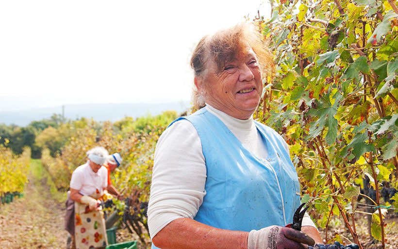 a closeup of an older woman smiling at the camera with a man on the background and sunflowers