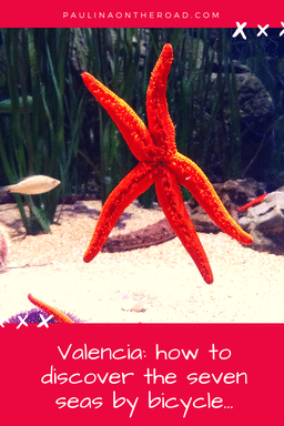 valencia, bike, aquarium