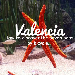 Valencia, bike, bici, oceanografic, spain, espa&ntilde;a, turismo, travel, viaje, excursion