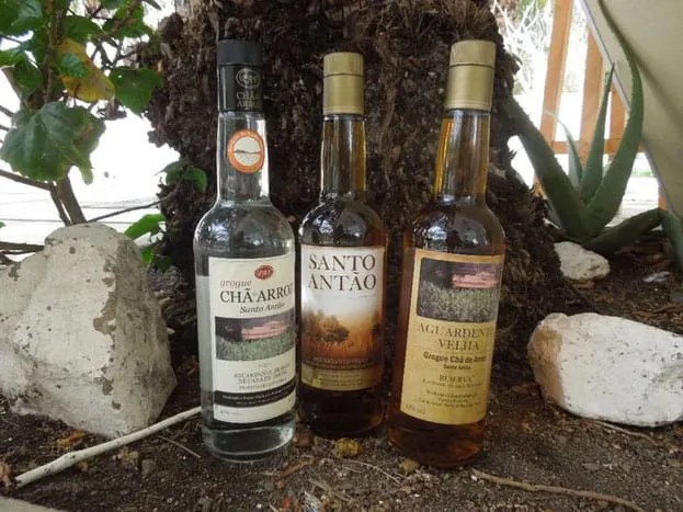 a display of bottles on grogue, pontche placed on the ground besides rocks and under a tree