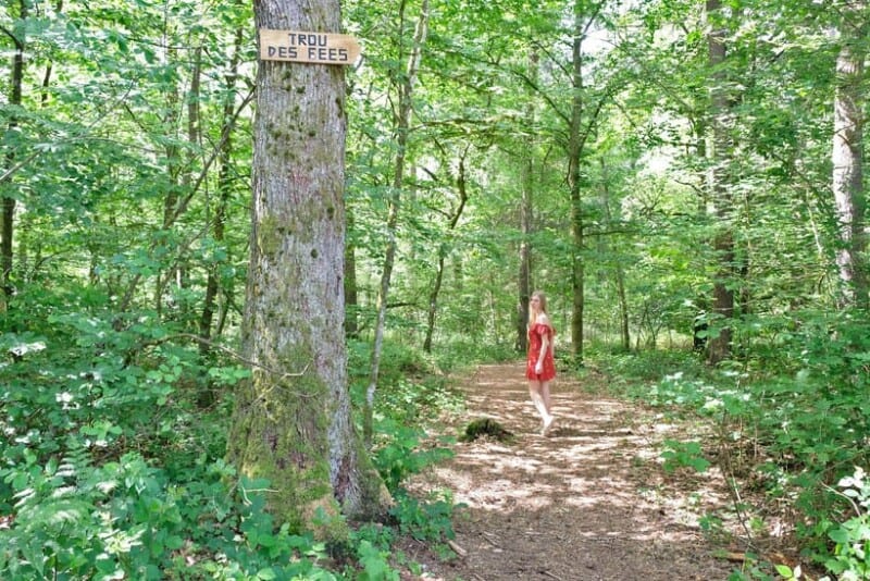 20 Best Hiking Trails in Belgium To Do Now! Paulina on the road