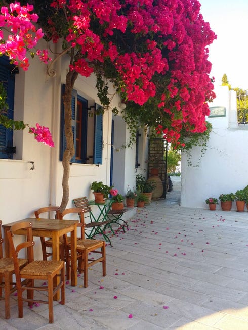 what to see in paros, trees in bloom outside cafe in Lefkes