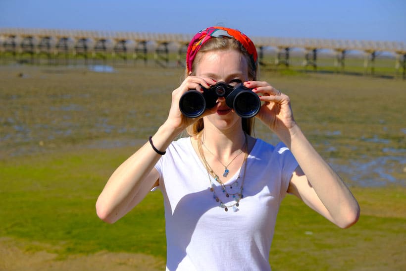 what to do during an algarve winter, birdwatching in Ria Formosa with binoculars