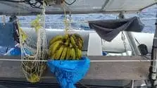 bananas - FAQ Boat HitchHiking