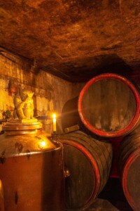 wine tasting in koblenz, wats inside the winery