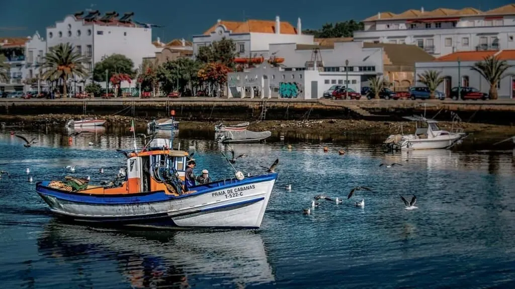 amazing things to do in the Algarve in October, view of fisherman's boat near shore lined with white buildings and surrounded by seagulls