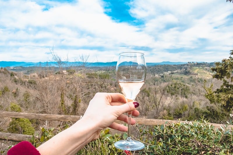 winery in lake geneva, person holding up wine glass to the horizon