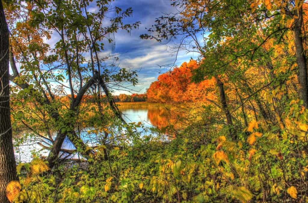 northern wisconsin fall colors, trees changing color around a river