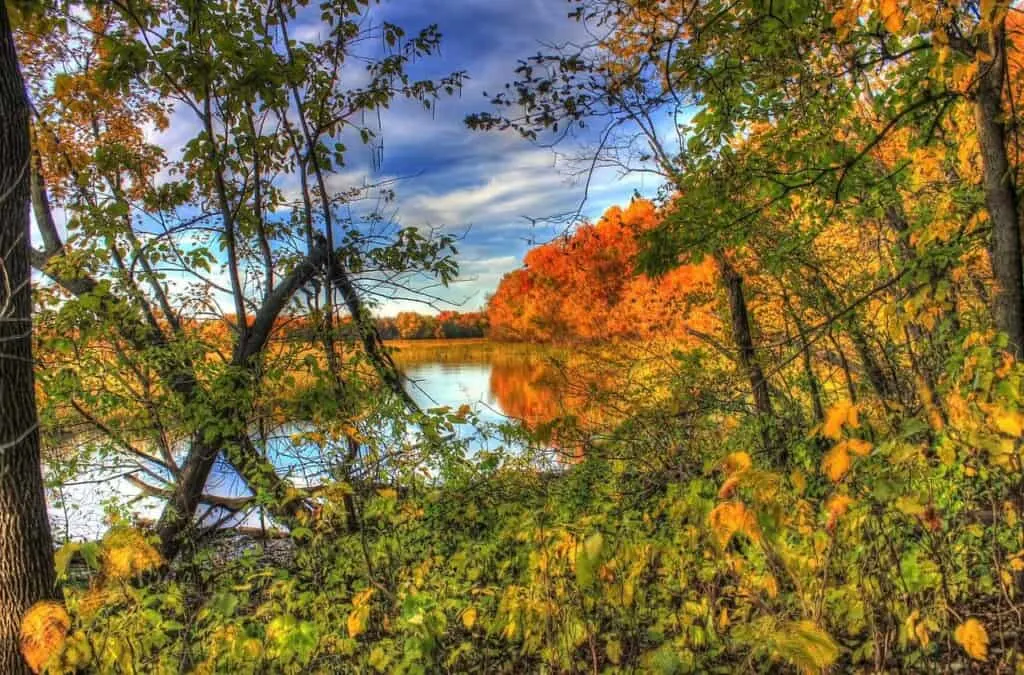 best day trips in wisconsin, view of lake from the beautiful kettle moraine state forest