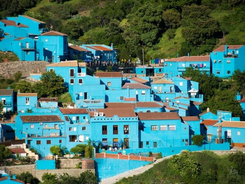 blue painted houses built on a hill surrounded by trees