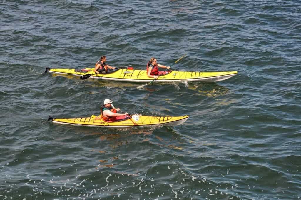 two kayaks, one with 2 people and 1 with a single person kayaking down a river