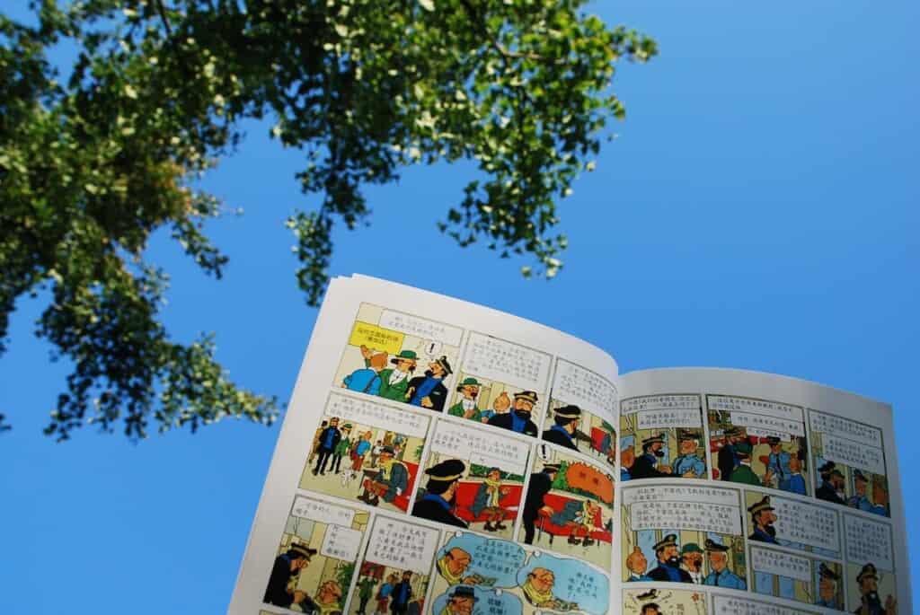 a comic book with tin tin comics in brussels