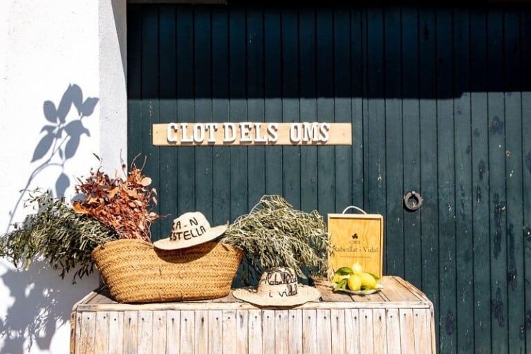 Wine Tours to Wineries near Barcelona Paulina's Guide