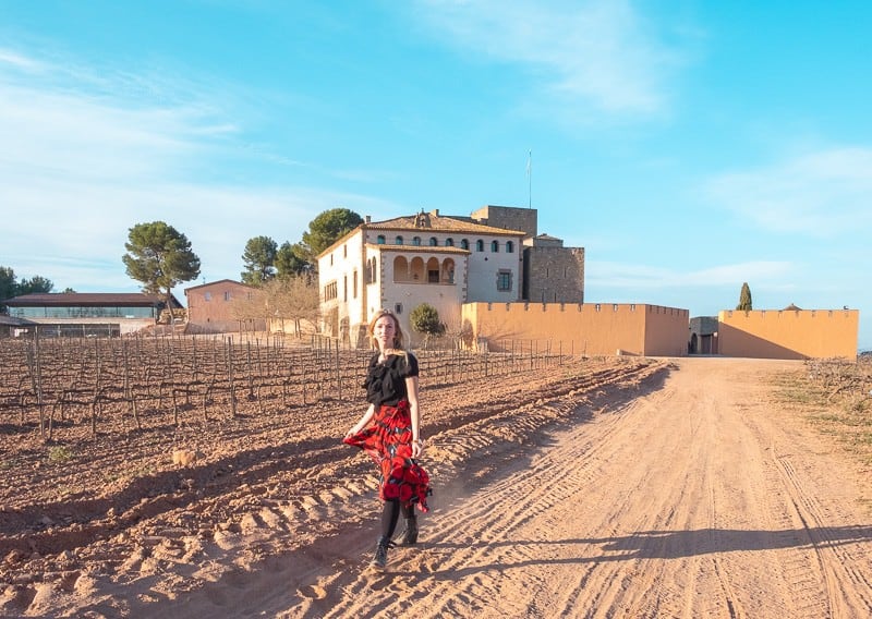 wine tour barcelona, wineries near barcelona, Cava Tasting inoller del mas, champagne tasting, catalonia, winery, vineyards, montserrat, red wine, white whine, medieval castle