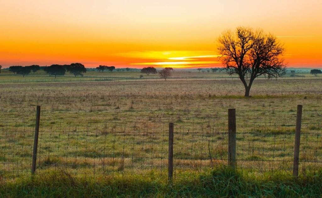 Things to do in Alentejo Portugal, Nature park at sunset