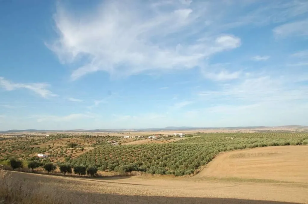 best things to do in alentejo, landscape of fields and trees with a few homes in the distance and blue sky