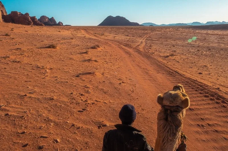 Enjoy these things to do in Wadi Rum for couples, person sitting with camel looking out along track through the desert