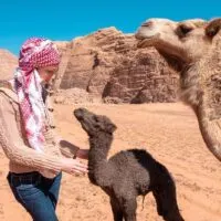 things to do in wadi rum, best bedouin camp in wadi rum, desert camp, from petra to wadi rum, aqaba wadi rum, jeep tour, camel tour, hiking, climbing