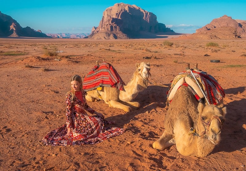 Learn these Wadi Rum tips, person sitting next to two sitting camels in the desert with rocky mountains behind