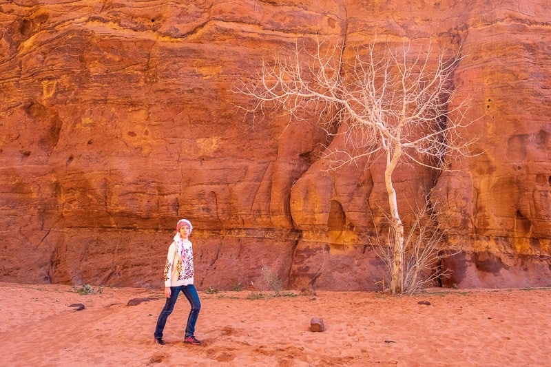 Locate the beautiful places in Wadi Rum, person standing in front of bare white tree in front of a large red wall of rock