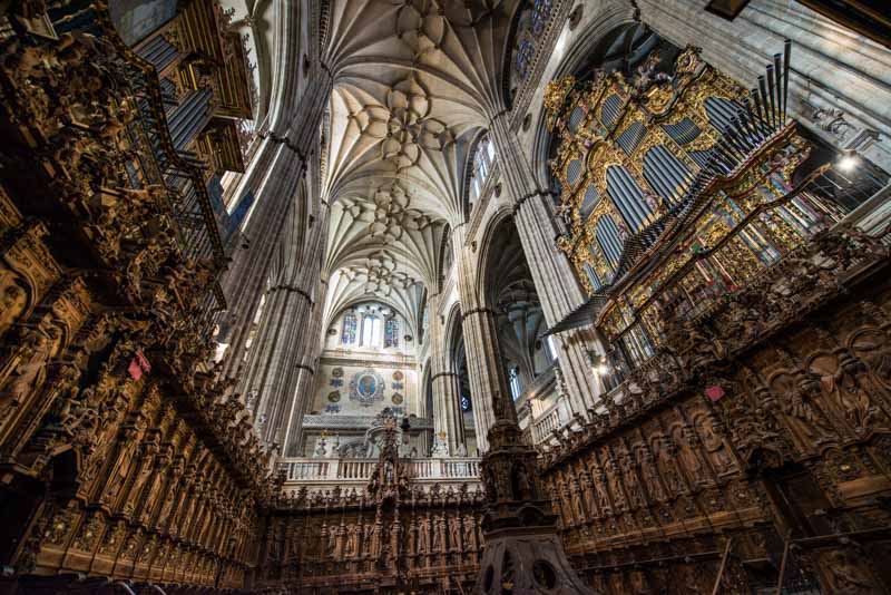 Spain Salamanca cathedral choir ceiling, nice places in spain, most beautiful places in spain to live