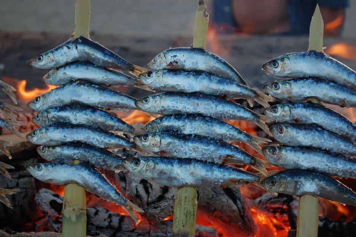 where to visit on a malaga road trip, fish on sticks (espetos) being cooked on a fire