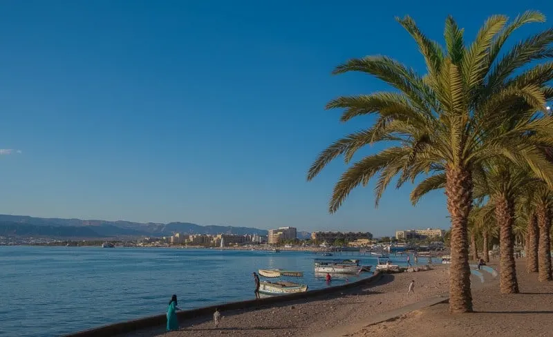 palm trees lined by the beach with a town far away, things to do in aqaba, jordan, red sea, wadi rum day trip, petra day tour, resorts, ayla oasis, souk, shopping, egypt, beaches, luxury, snorkeling, diving