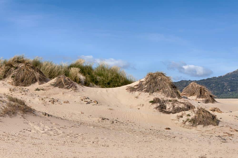 valdevaqueros beach, best beaches in southern spain for surfing