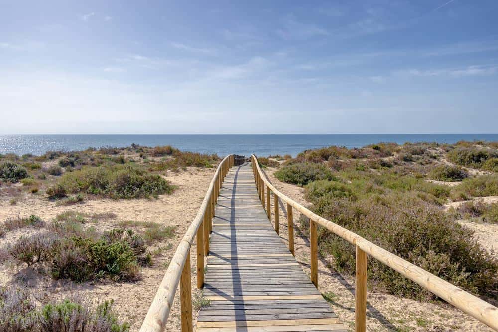 a wooden boardwalk on the middle of a beach dune with grass towards the sea with misty clouds in the sky