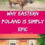 Are you traveling to Bialowieza, Poland? This guide takes you to the off-beat places and shares the best things to do besides hiking in Bialowieza Forest Poland. #bialowieza #podlasie #poland #forest