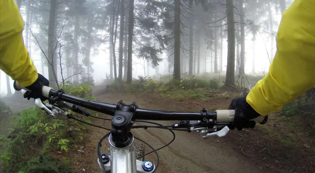 things to do in bialowieza forest, cycling and biking in bialowieza