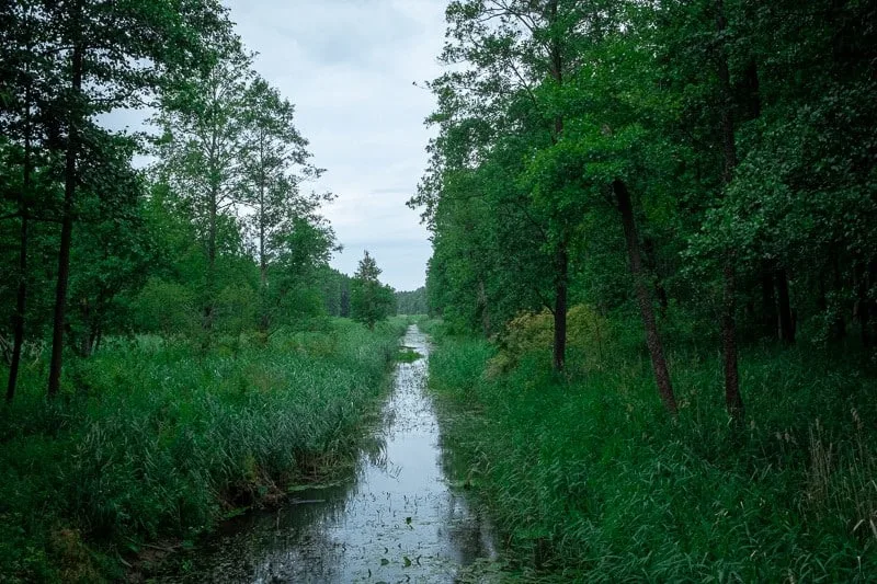 canoeing, kayaking in bialowieza forest, things to do in podlasie