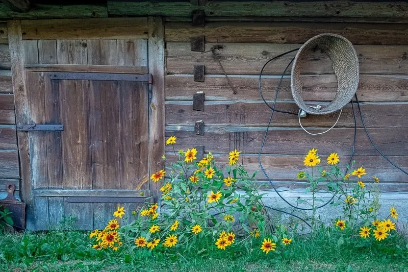 visit land of open shutters, podlasie, podlaskie, poland near bialowieza