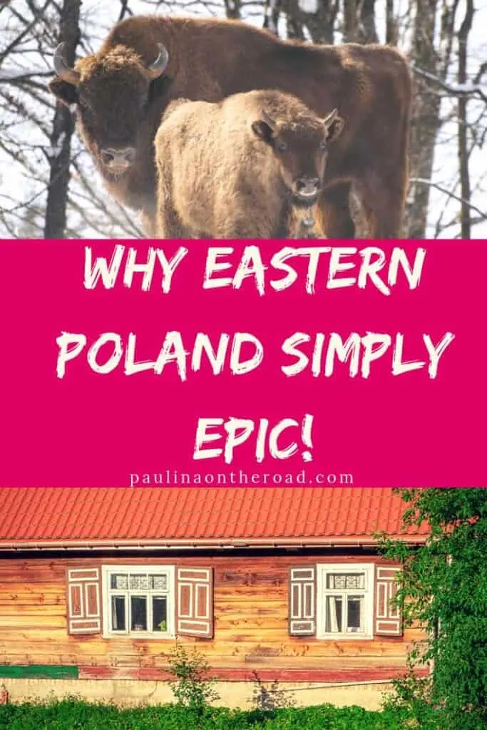 Are you traveling to Bialowieza, Poland? This guide takes you to the off-beat places and shares the best things to do besides hiking in Bialowieza Forest Poland. #bialowieza #podlasie #poland #forest