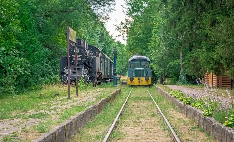 reasons to visit podlasie, podlaskie, eastern poland, bialowieza forest, unesco heritage, from warsaw, polish food, sustainable travel, carska, train station,