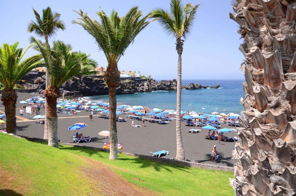 a beach filled with chairs and palm trees on a sunny day