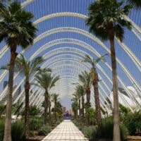 3 days in valencia, what to do in valencia, things to do in valencia, what to see in valencia, paella, guest writer, guest post travel blog, valencia attractions