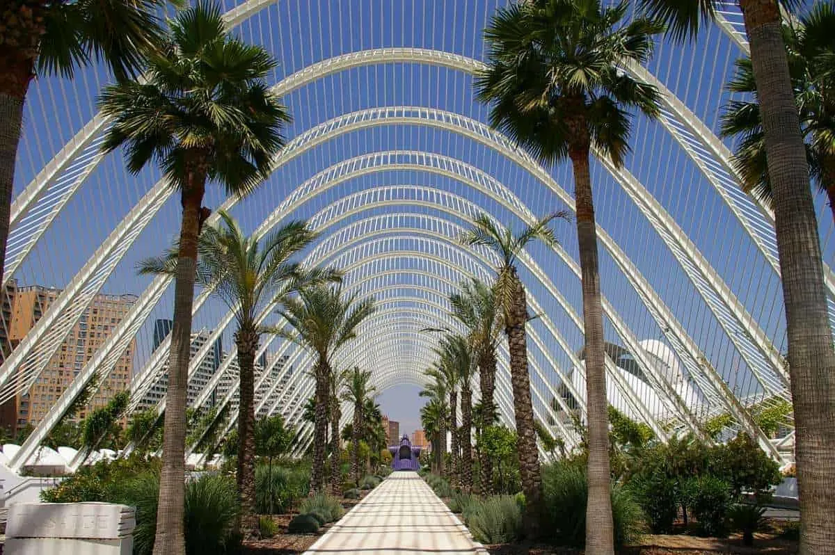 warm winter sun short breaks in spain, trees under the umbracle walkway in valencia