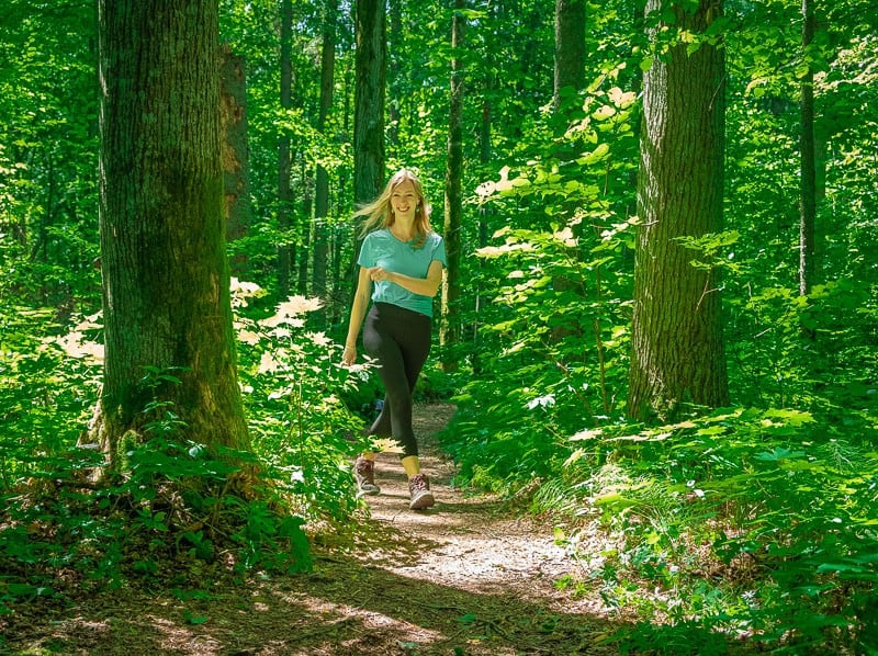hiking in bialowieza forest