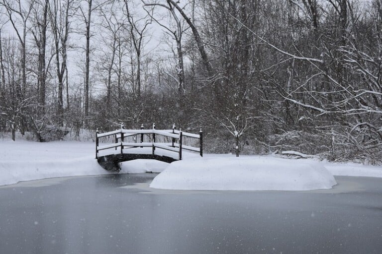 25 Fun Things To Do in Winter in Milwaukee Paulina on the road